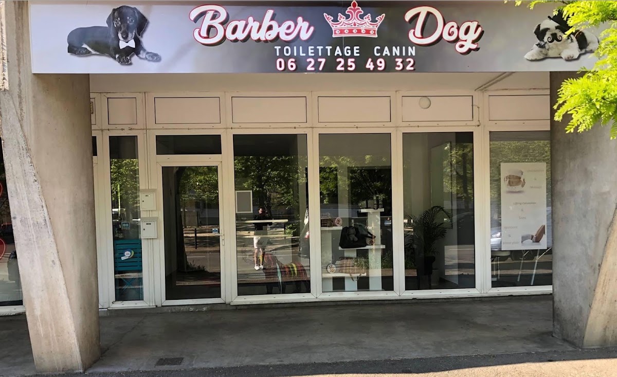 BARBER DOG
