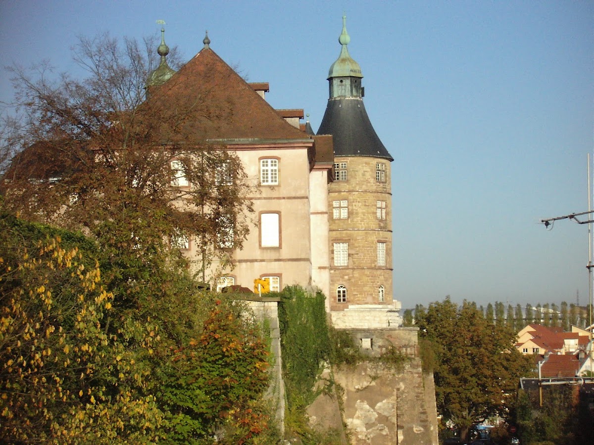 Action Immobilier 25