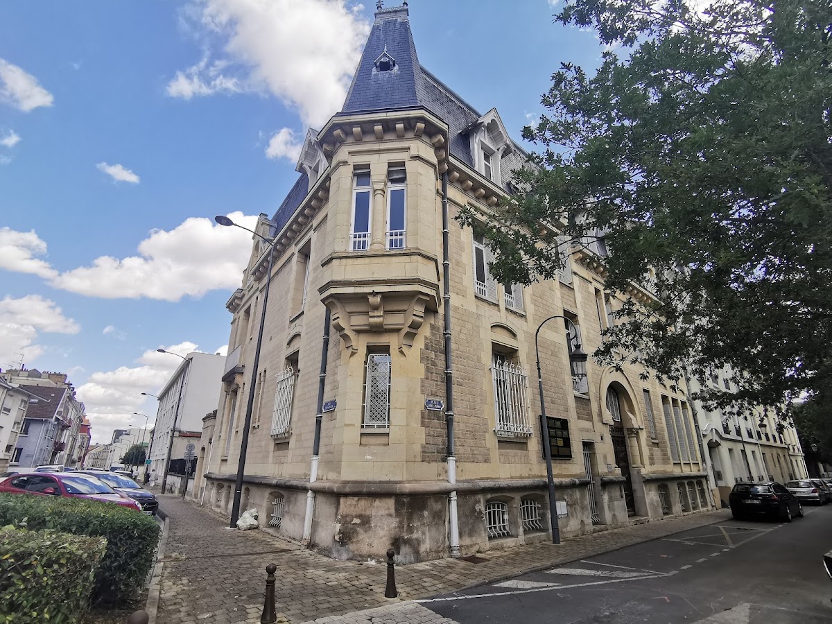 Amélie Daillencourt - Avocat