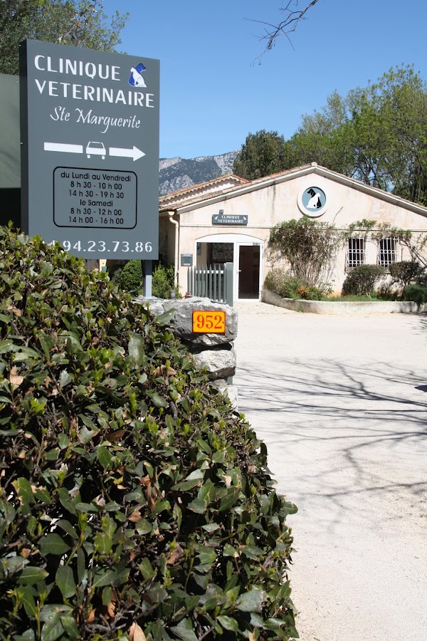 Clinique Vétérinaire Sainte Marguerite