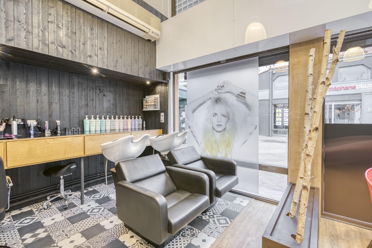 Stephan coiffure