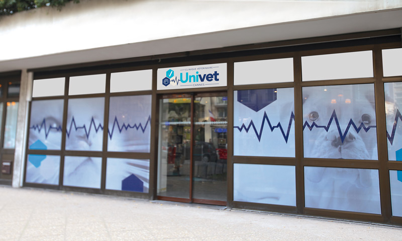 Clinique vétérinaire Univet Cannes Carnot