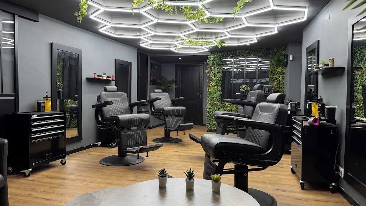 Jungle Studio