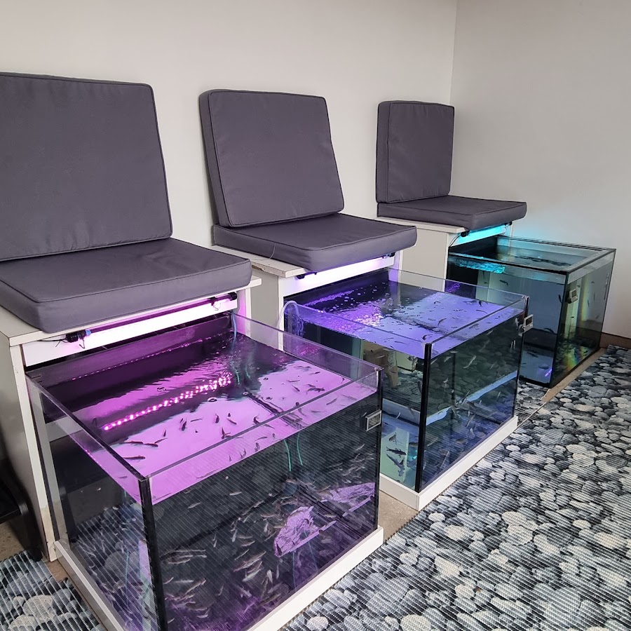 Fish Spa en auge
