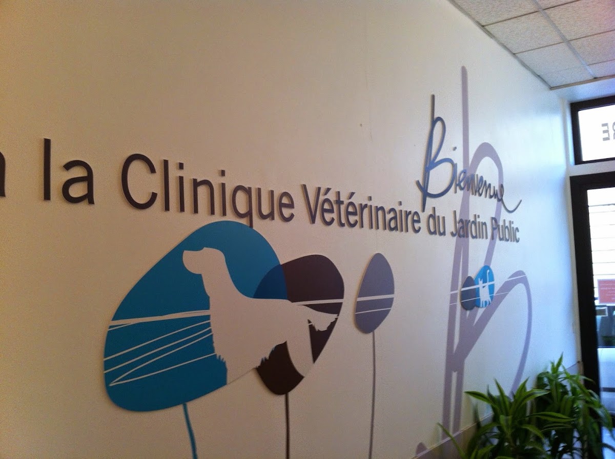 Vétérinaire Bordeaux - Clinique Urbiveto du Dr Lavalette