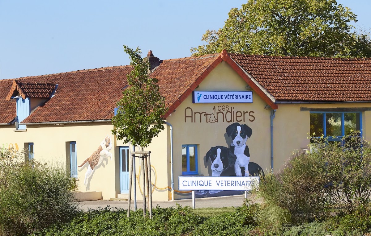 Clinique Vétérinaire des Amandiers - Dr Bréban et Dr Suarez