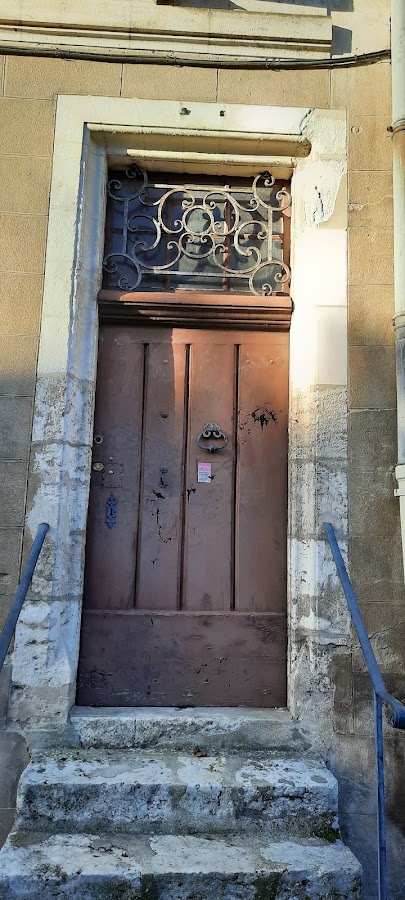 cyprès du bois