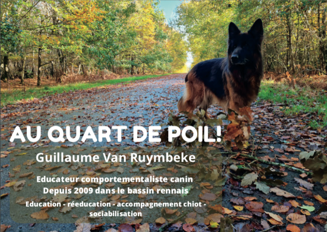 Au quart de poil ! Guillaume Van Ruymbeke - Educateur comportementaliste canin