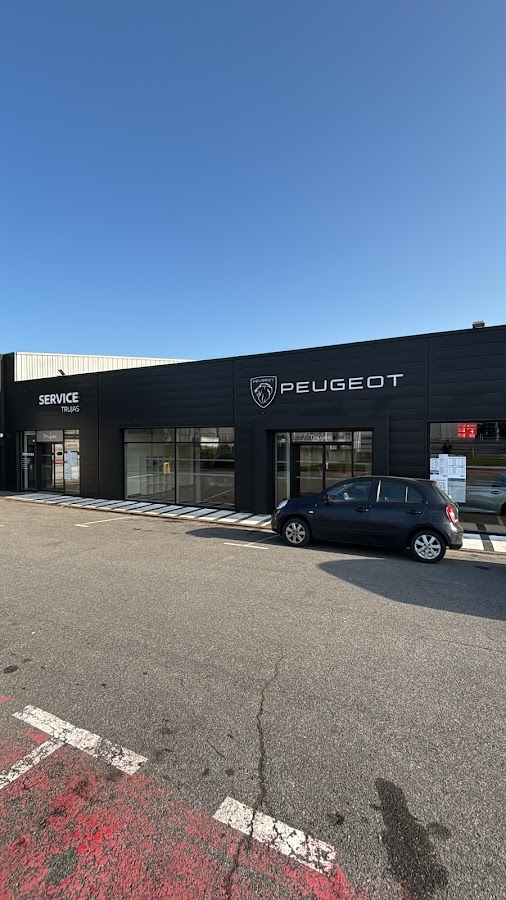 Peugeot by Trujas Limours