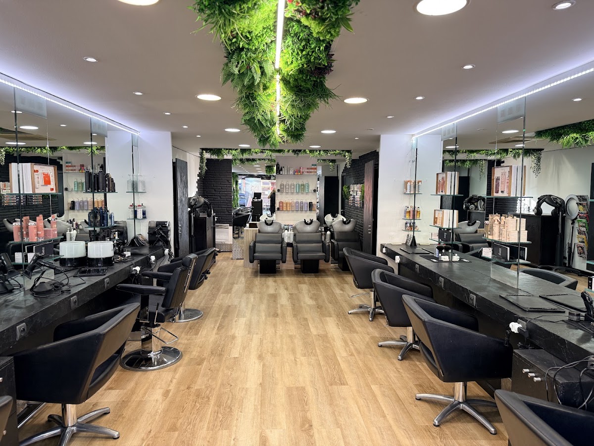 Stephan Coiffure Ramonville