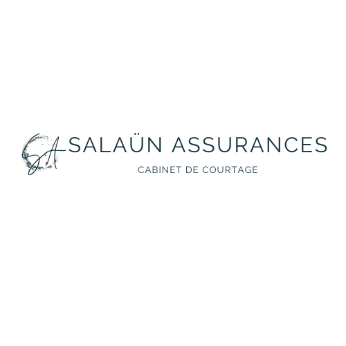 Salaun Assurances