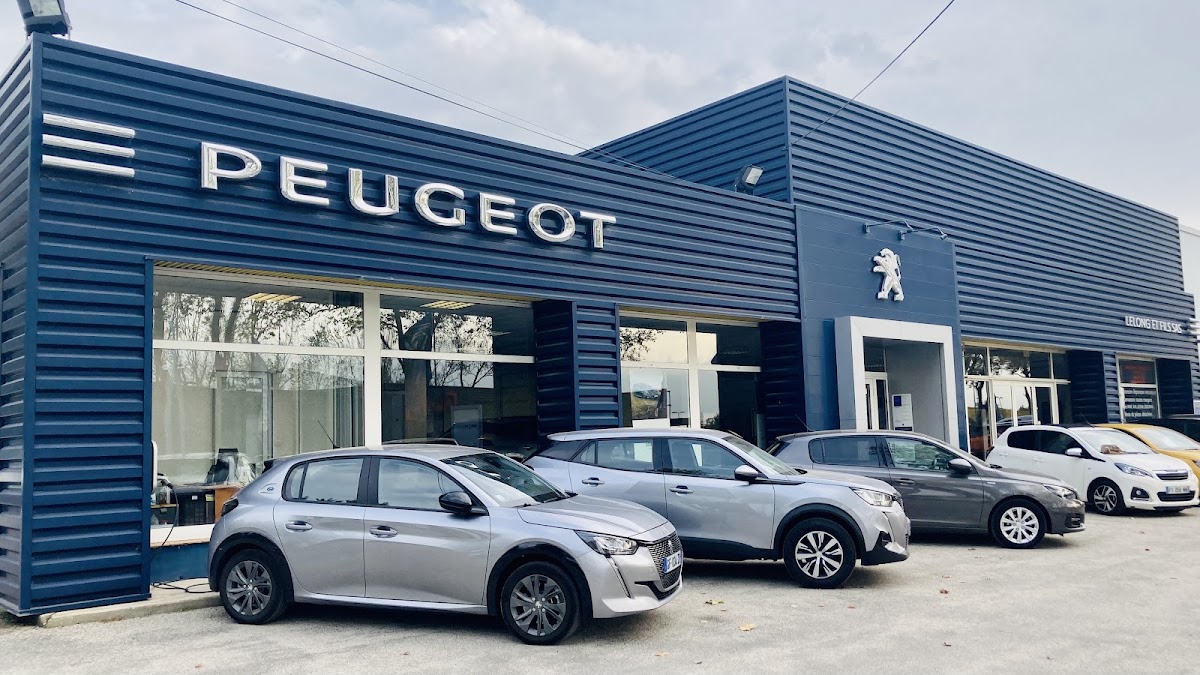 PEUGEOT - LELONG ET FILS SAS