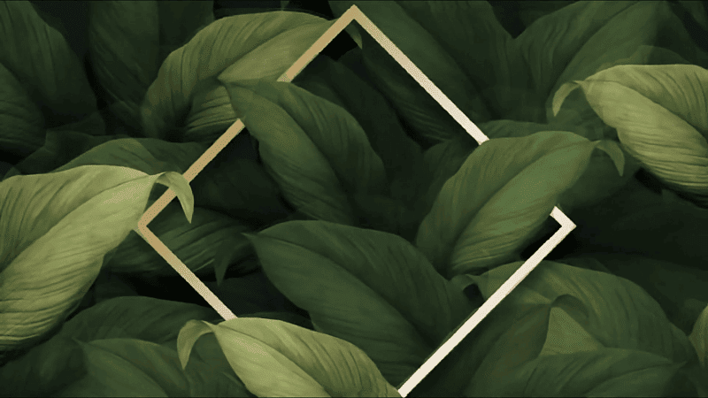 Psychologue Grenoble | Centre Psy&Co