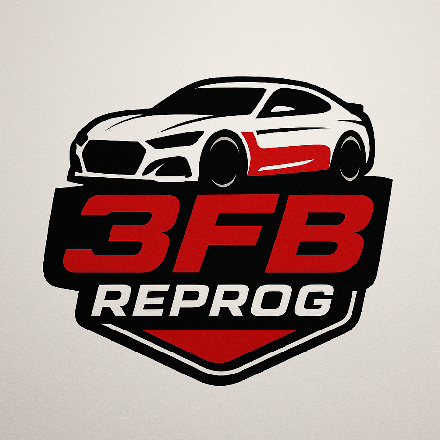 3FB Reprog