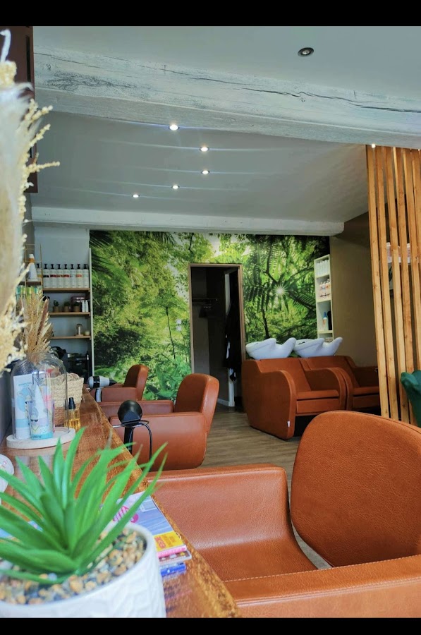 Coiffure Saint Seine