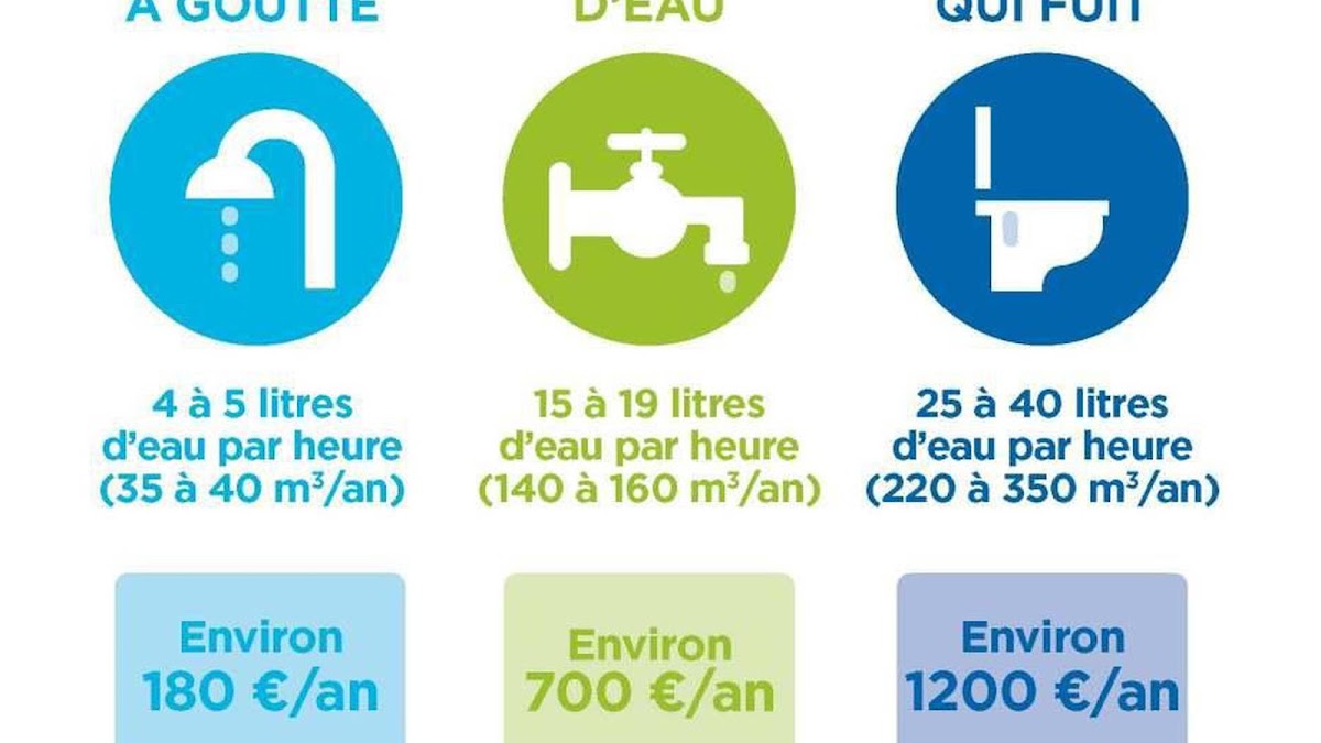 Entreprise Stéphane