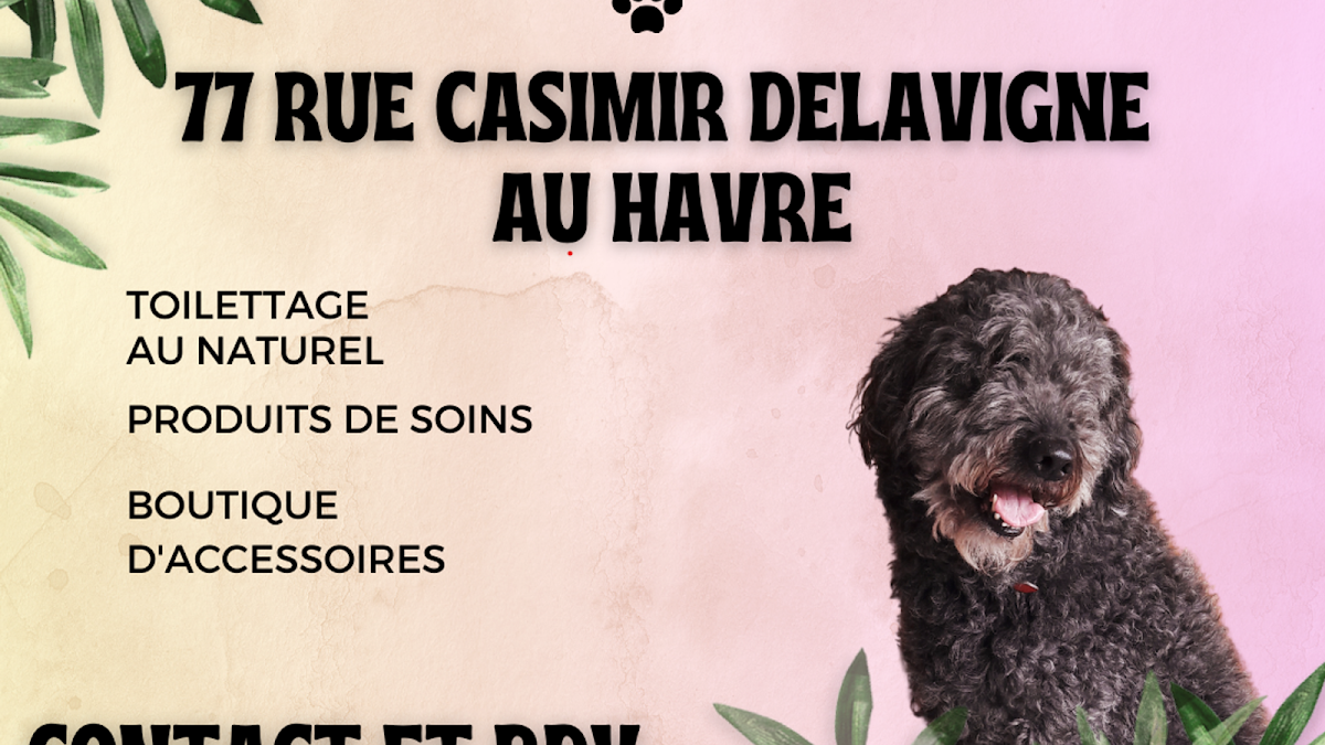 HIPPIE DOG - TOILETTAGE AU NATUREL