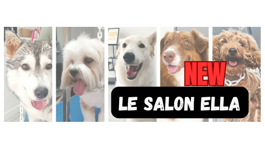 Le Salon Ella - Toilettage canin
