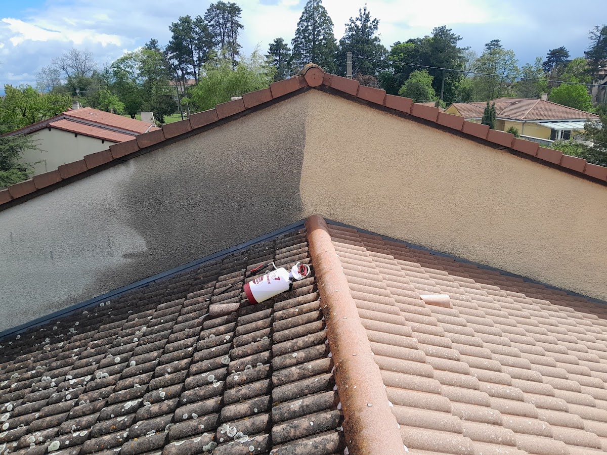 VIGERAL BATIMENT riom ( peintre-couvreur-facadier )
