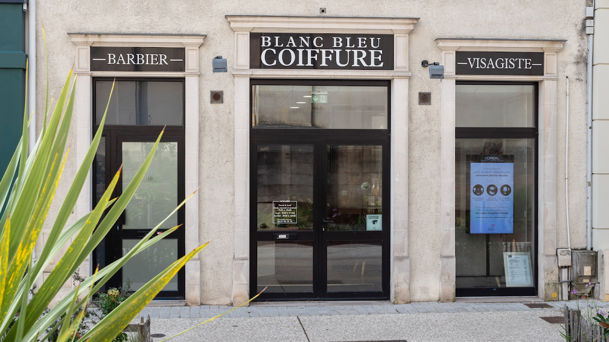Blanc bleu coiffure