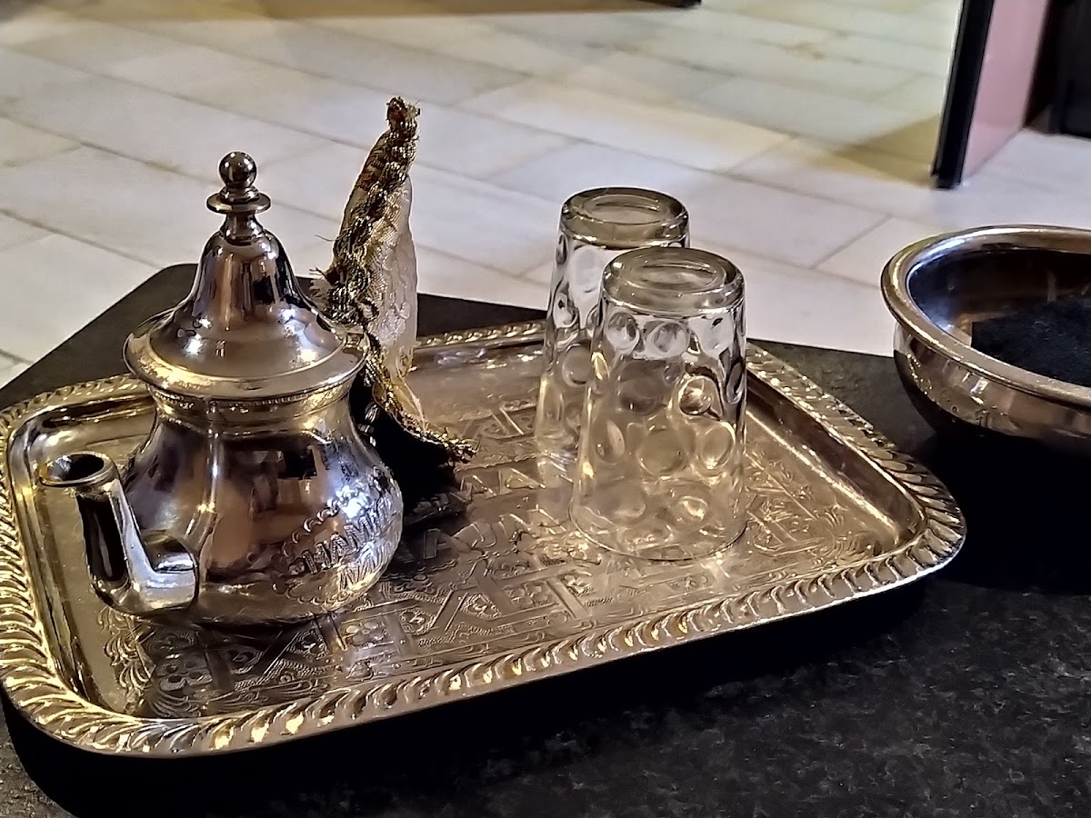 Hammam Najma