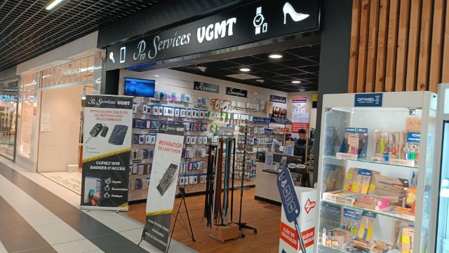 Pro Services VGMT