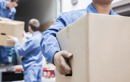Trans-Pass : Assurance transport de marchandise en ligne