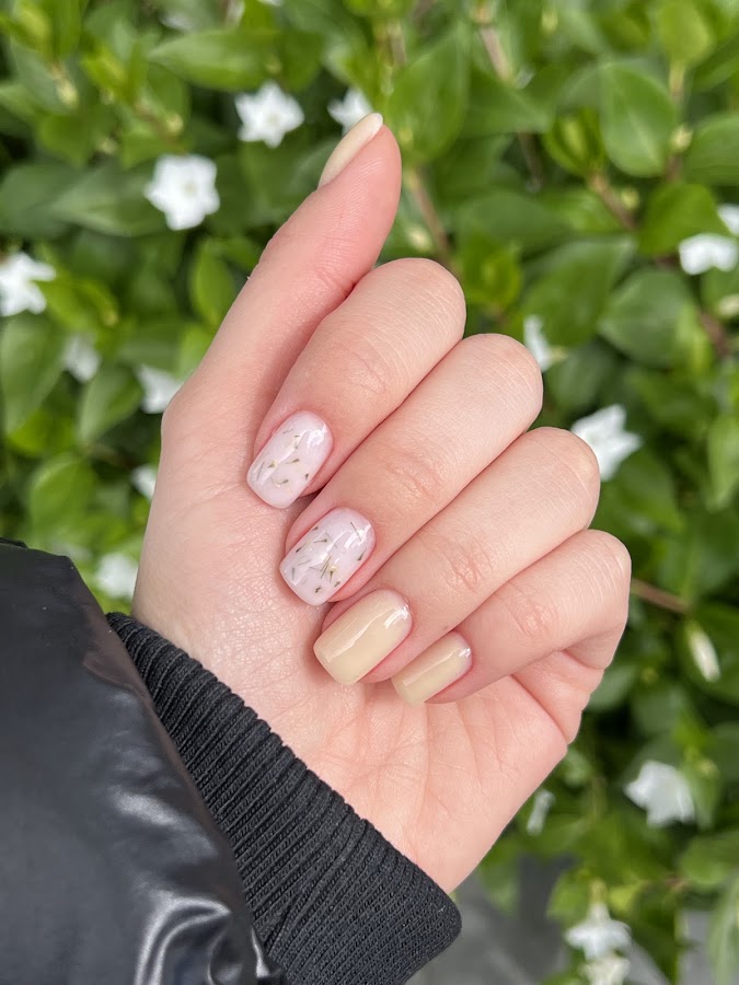NAIL STUDIO | MANUCURE | PÉDICURE | ONGLES