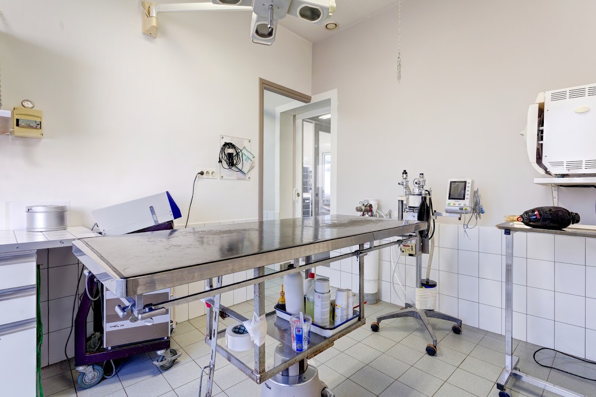 Clinique Vétérinaire Saint Rémi