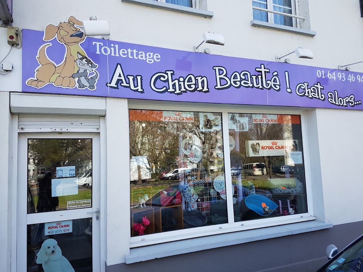 Au Chien Beaute Chat Alors