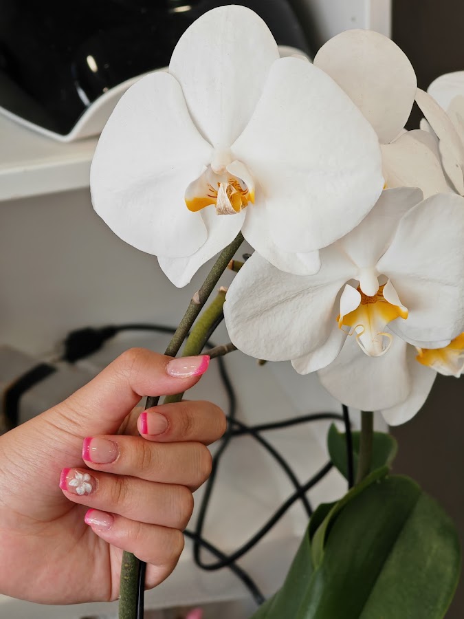 Aux Ongles d'Or