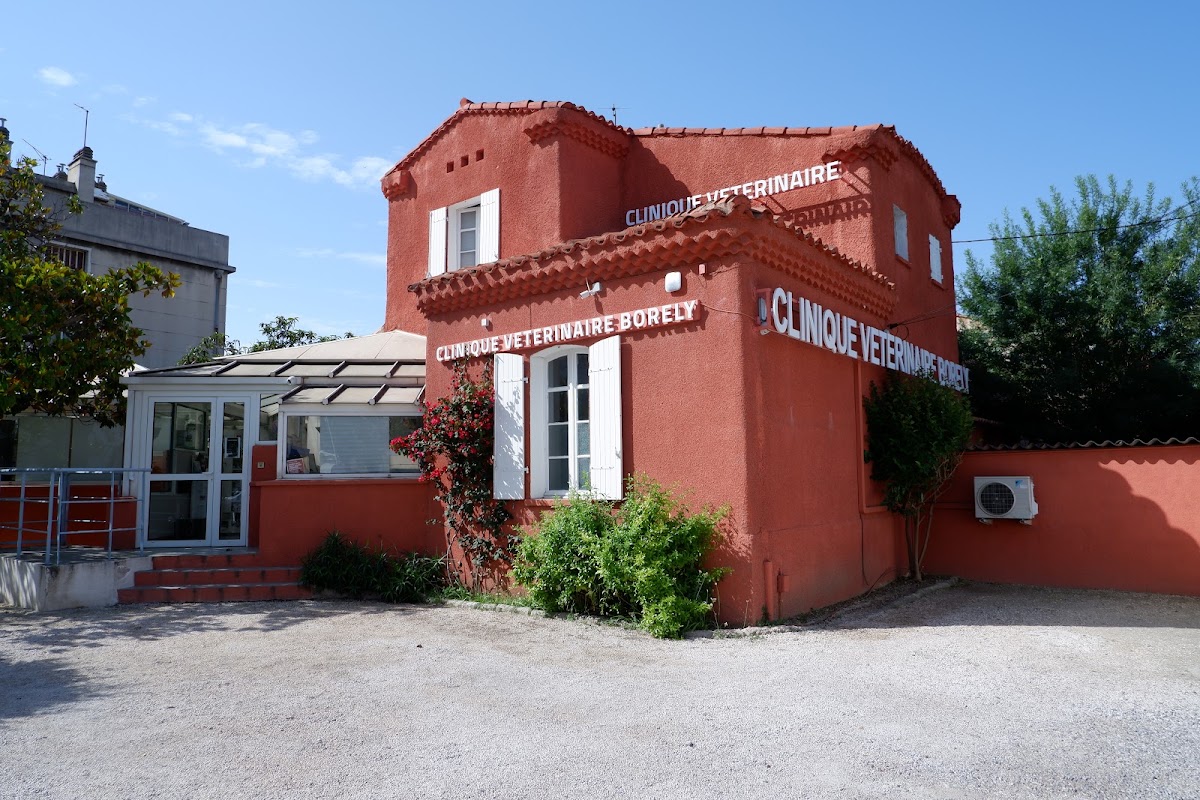 Clinique vétérinaire Borély