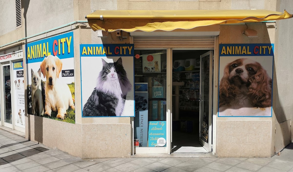 Animal City & Co