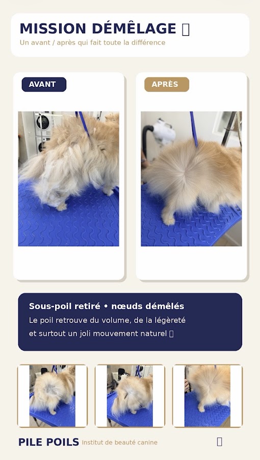 Pile Poils