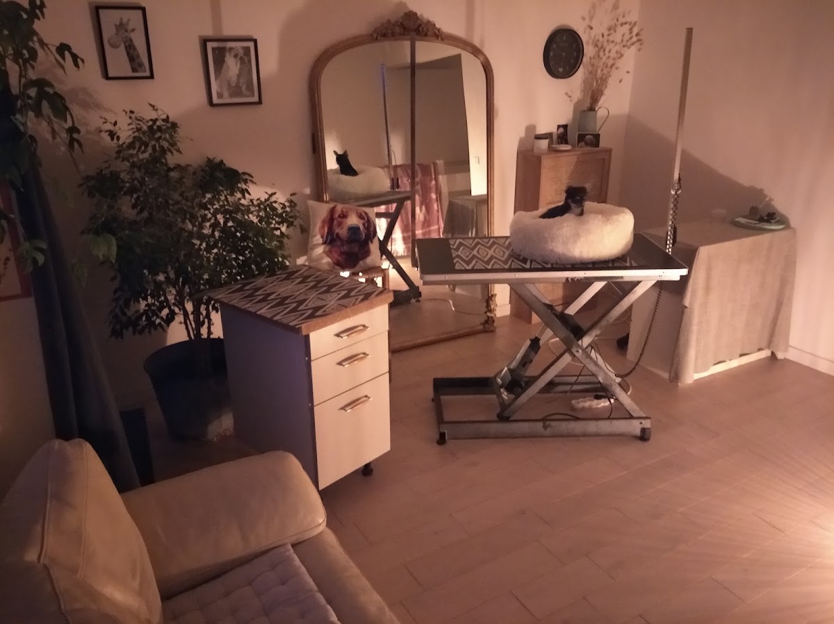 ATYPIQUE TOILETTAGE