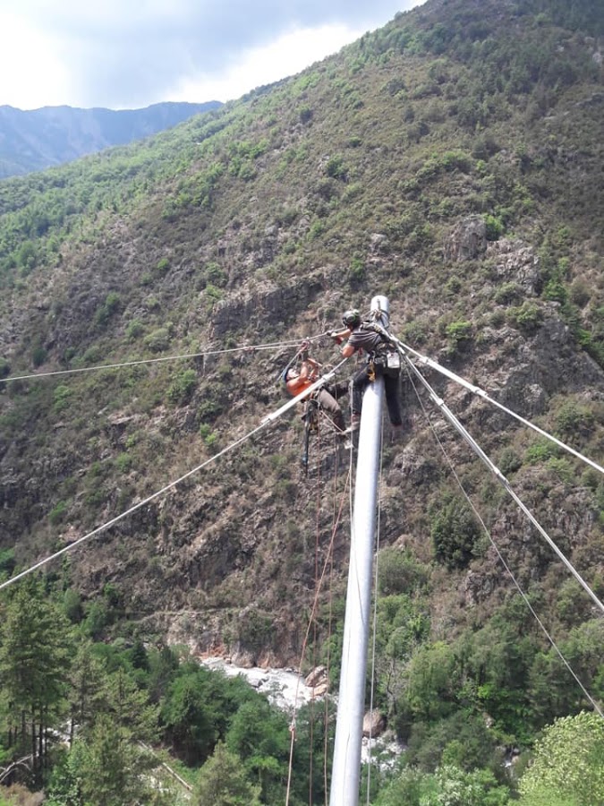 VERTICAL Elec