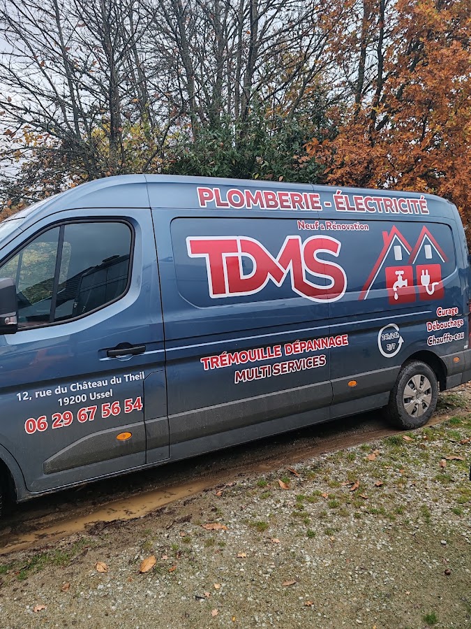 TDMS