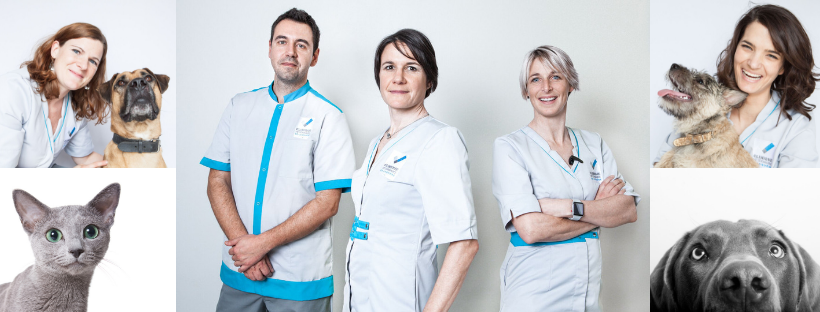 Clinique vétérinaire de la rivière