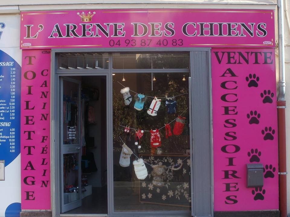 L'arène des chiens