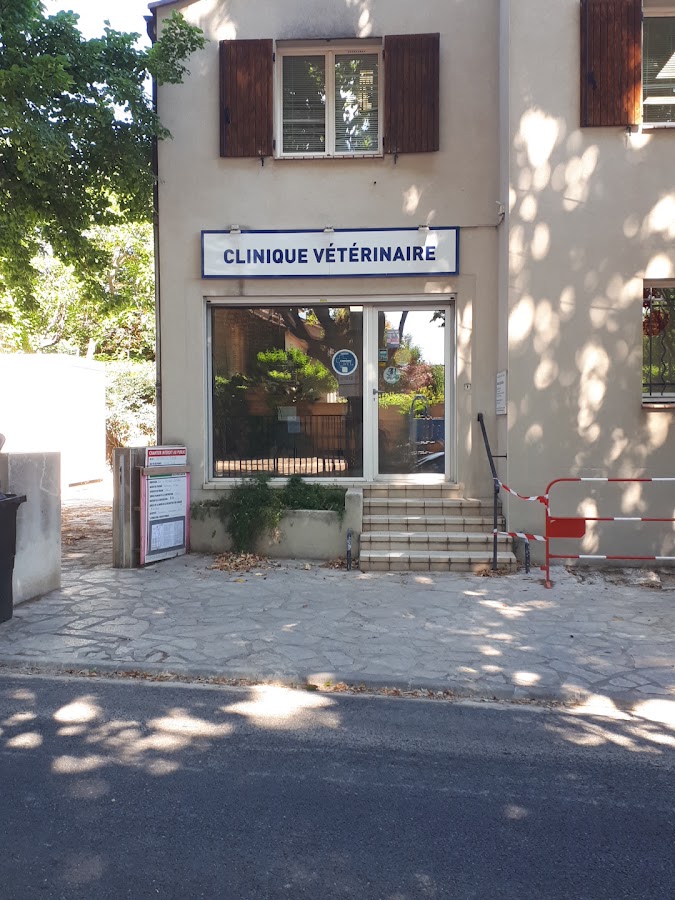 Clinique Vet30000 Chatry Boschetti Ribeaucourt