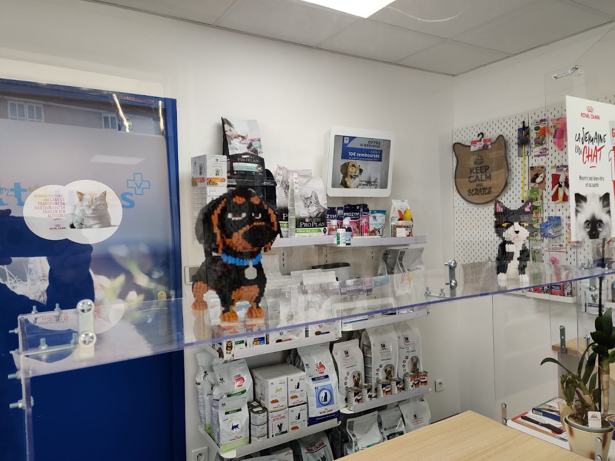 Vétérinaire à Toulon - Cabinet Les Pattounes du Dr Goubron