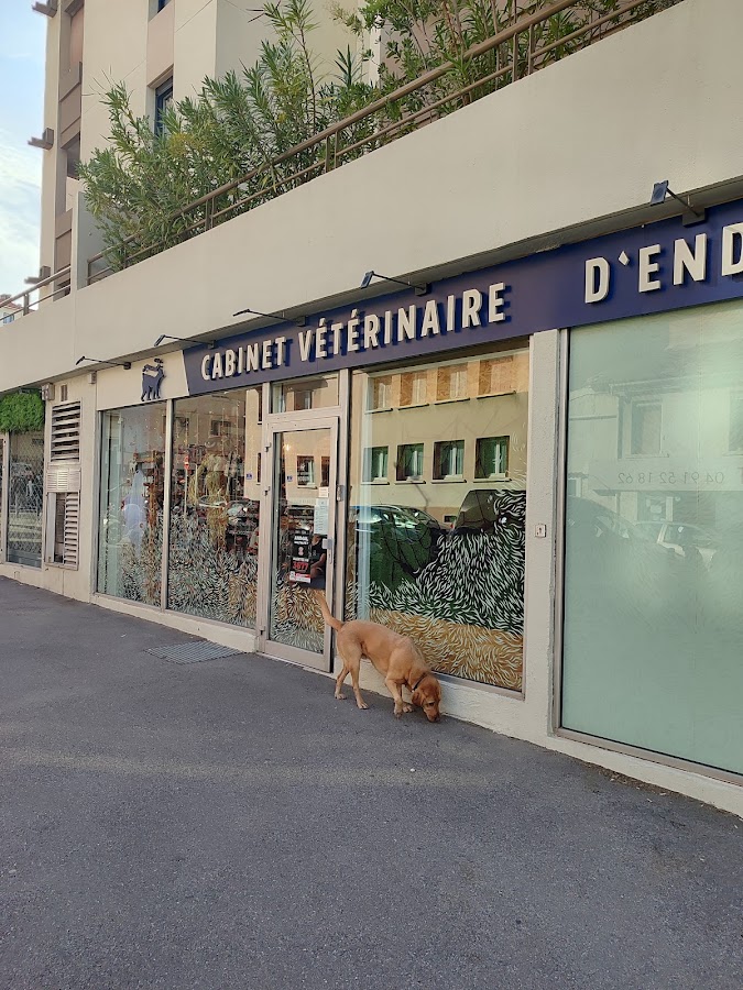 Clinique vétérinaire d'Endoume