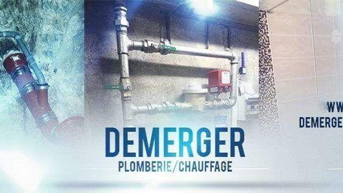 Société Demerger