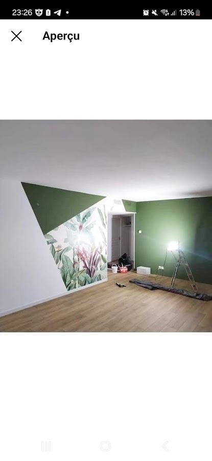 Dinopeinture