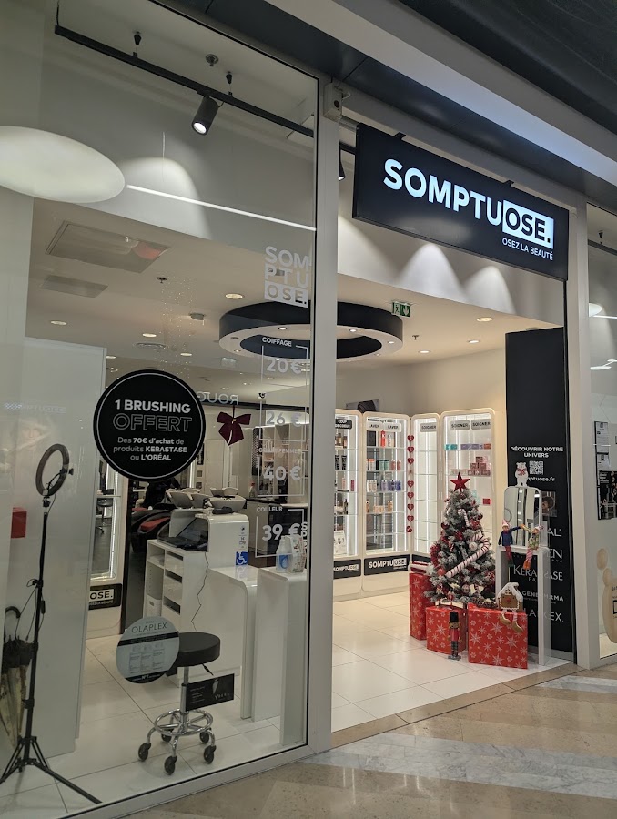 Salon Somptuose St Priest