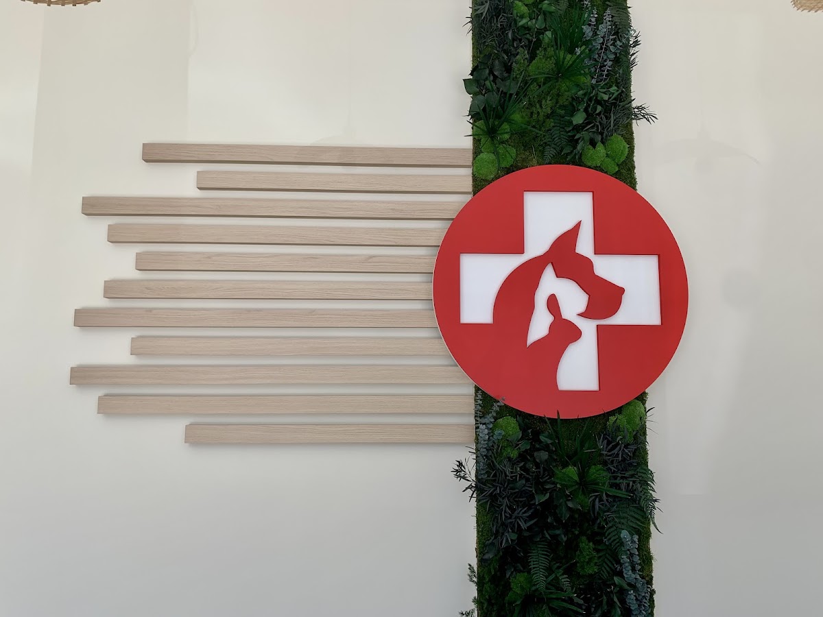 Urgence vétérinaire - clinique de garde - Vétérinaires 2 Toute Urgence Montpellier