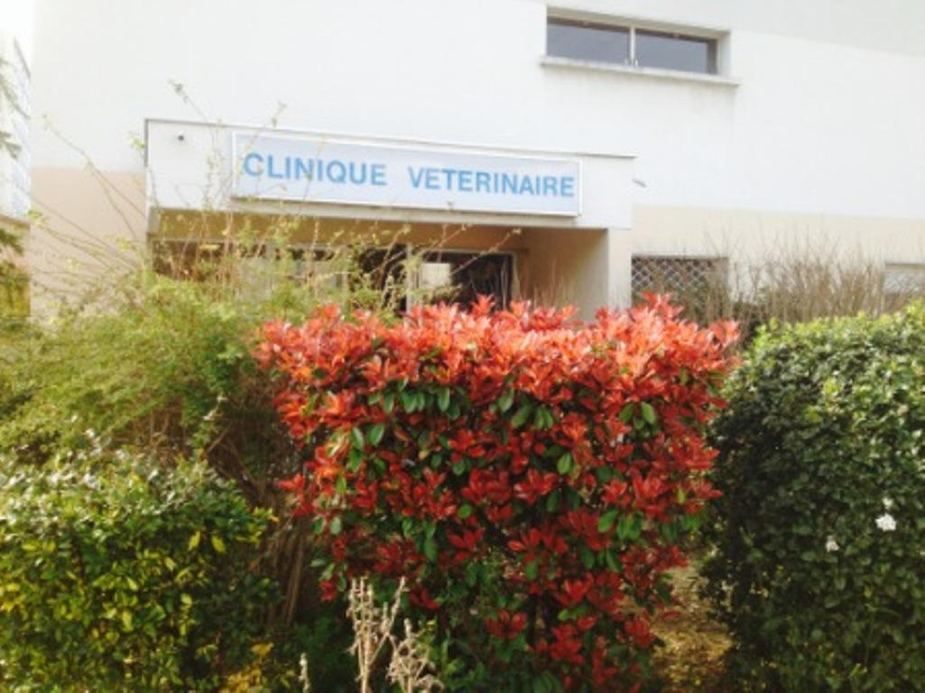 Clinique Vétérinaire de Trion