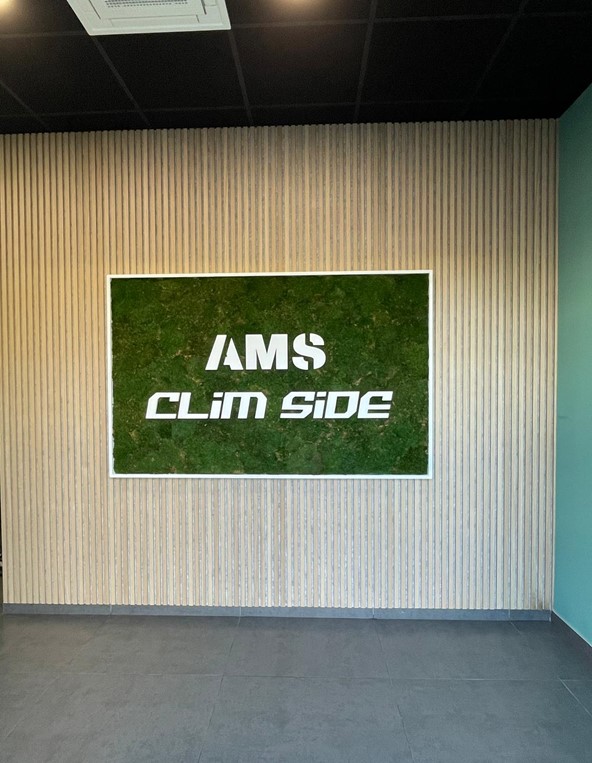 A.M.S