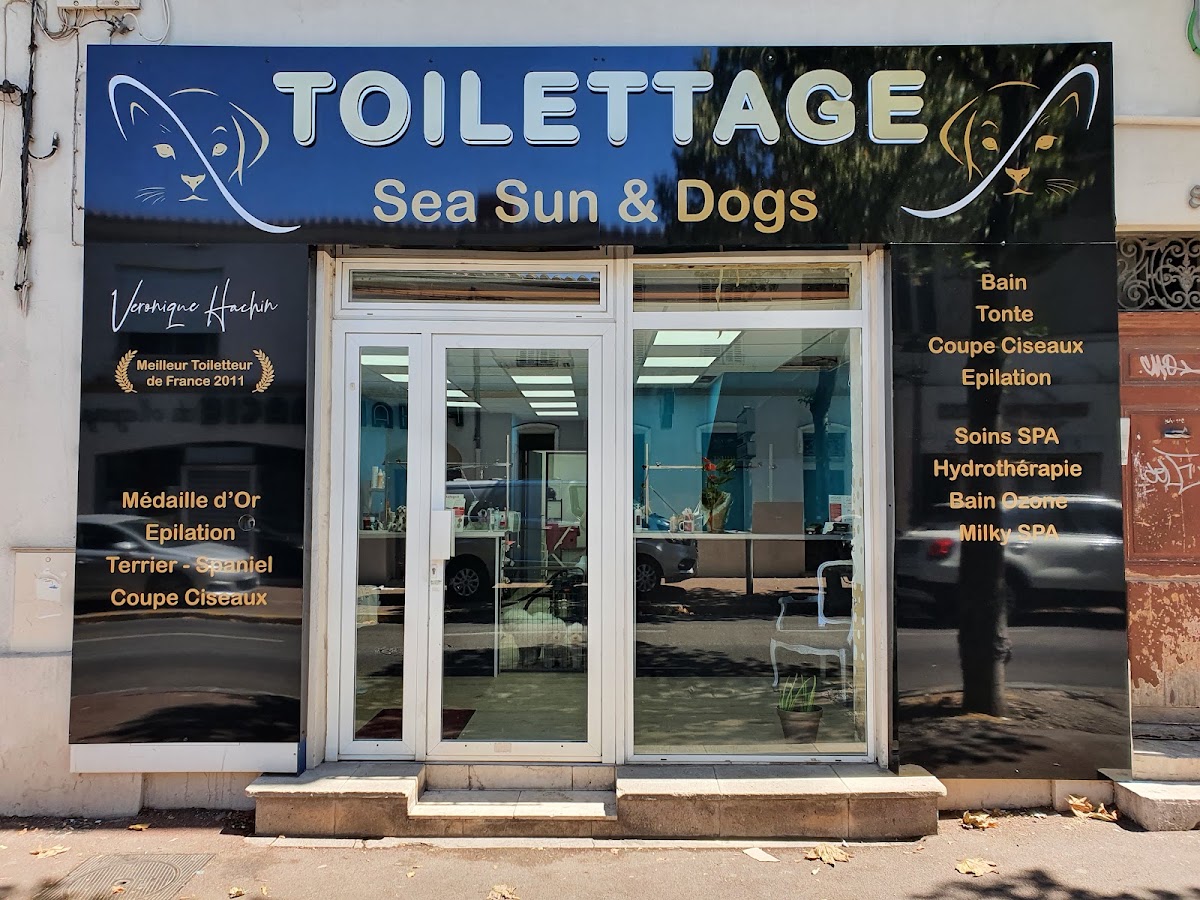 Sea Sun'And Dogs