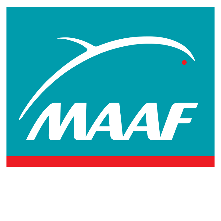 MAAF Assurances ST POL SUR TERNOISE